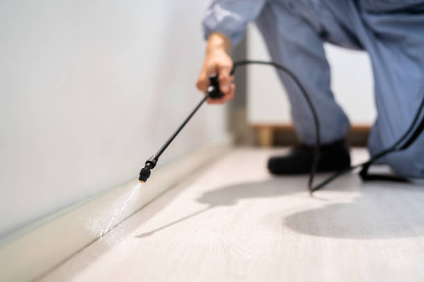 Licensed Termite Control service in Mediapolis, IA - Nex Pest Control