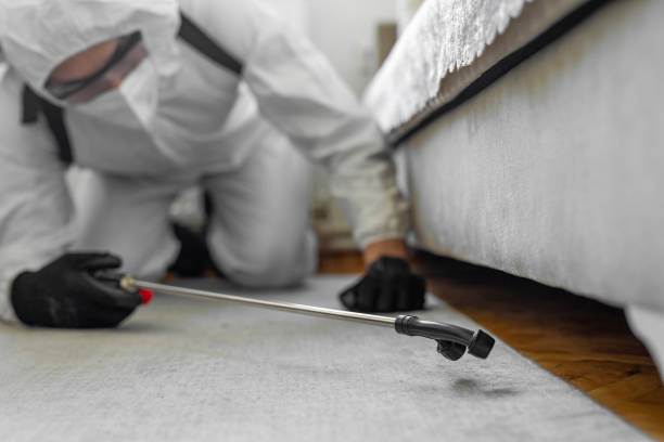 Professional Termite Control technician working in Mediapolis, IA