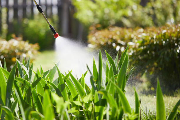 24/7 Emergency Termite Control experts in Mediapolis, IA